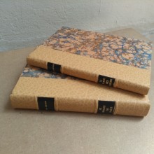 demi-cuir, papiers marbrés